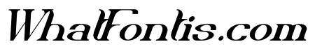 Delith Italic