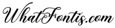 Love Amsterdam Italic