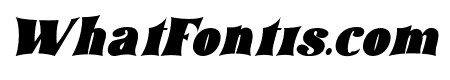tommy font bold Italic
