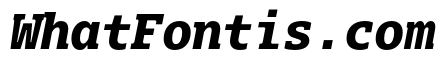 Dico Mono Slab ExtraBold Italic