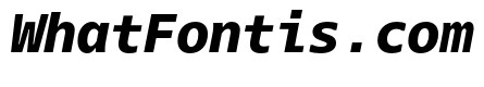 Dico Mono ExtraBold Italic
