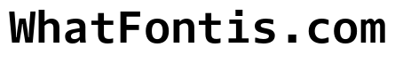 Dico Code Two Bold