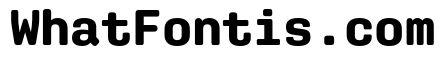 Aglet Mono Bold