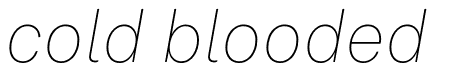 Akkurat Vietnamese Thin Italic