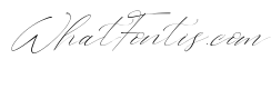 Westie Ametta Italic