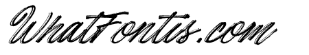 Hotte Brush Italic