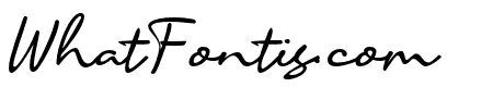 Accountant Signature