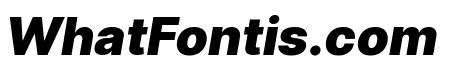 LinikSans-BlackItalic