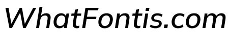 Winston Medium Italic