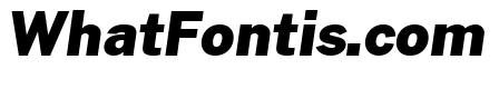 Morrison Black Italic