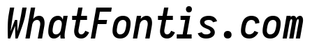 Aardvark Fixed Medium Italic