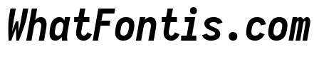 Aardvark Fixed Bold Italic