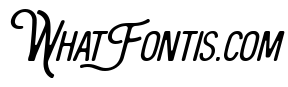 The Bangles Italic