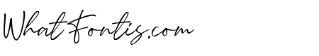 Bright Signature