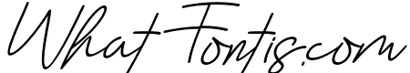 Everylove Italic