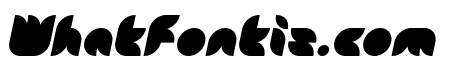Snow Mask Bold Italic