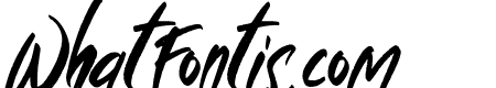 Wild Crow Italic