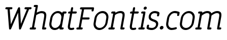 FinalistRoundSlab-55RegularItalic