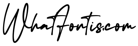 Maradona Signature
