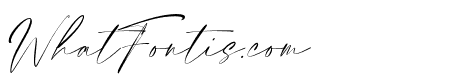 Elegant Signature Slant