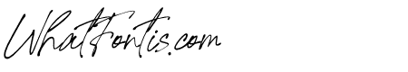 Signature United Italic