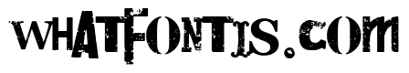 Stamp Punk Company