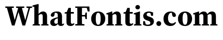Source Serif 4 Subhead Bold