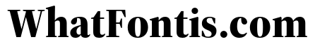 Source Serif 4 Display Black