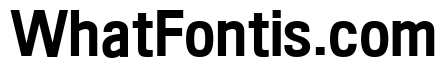 210 Computersetak Bold