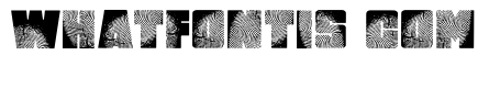 DigItAl FingerpRINT Regular