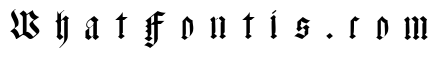 Meyne Textur UNZ1A Italic