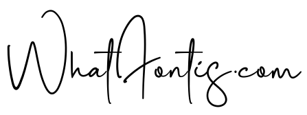 Photography Signature