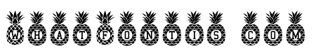 PineappleMonogram