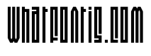 Newton Bold