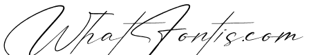 Patricia Signature Italic