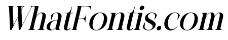 CHELON Italic