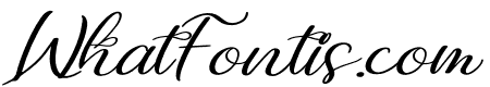 The Sunday Lovely Italic