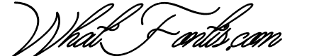 Aliantyara Signature Italic