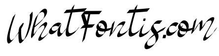 Robins Aisha Italic