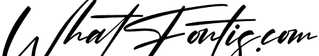 Optimistic Signature Italic