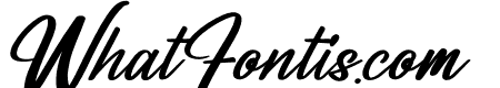 Dominyte Signate Italic