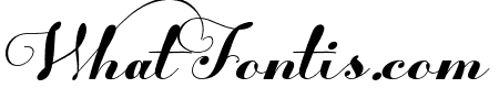 TheCalligraphyFont