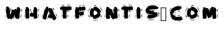 Wood Shaker Bold
