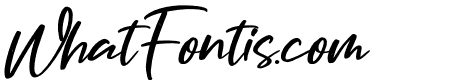Portofolio Brilliant Italic