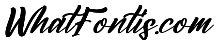 Amsterdam Jungleria Italic
