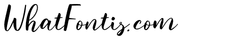 stary-italic