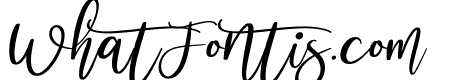Mollusca Script Italic