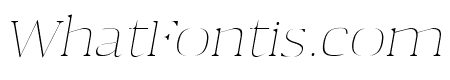 Aaron Thin Italic