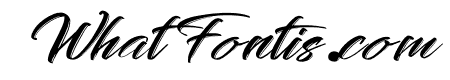 Creative Signature Italic