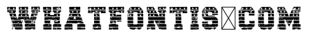 USA GRUNGE